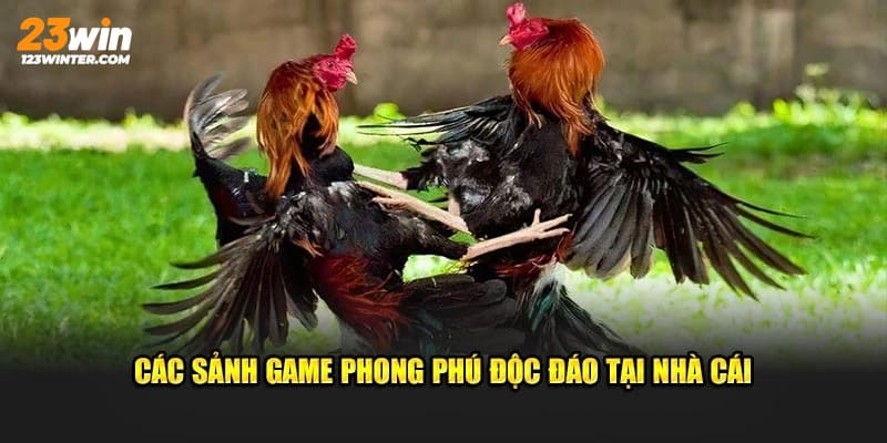 2 sảnh đối tác trong lĩnh vực đá gà của nhà cái